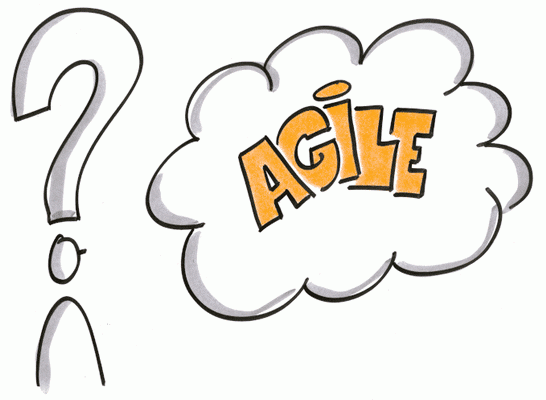 Grafik Agil Software entwickeln - Enabling Agile